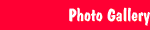 Photo Gallery